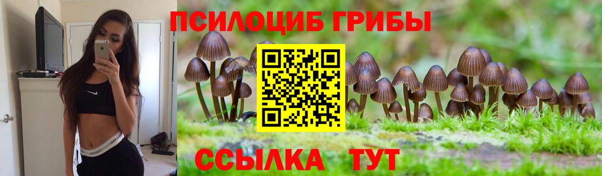 Псилоцибиновые грибы мухоморы Топки